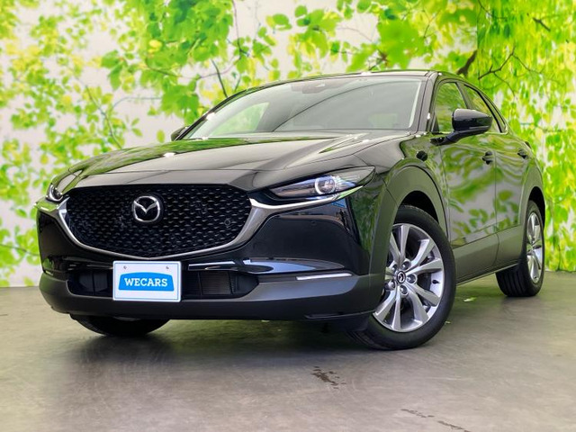 CX-30 2.0 20S 