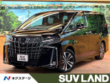 純正9型ナビ フルセグTV バックカメラ ブラインドスポットモニター