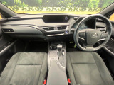 UX 250h 