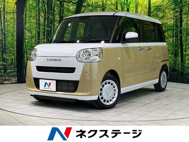 ムーヴキャンバス ストライプス X 