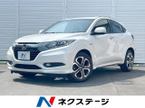 SDナビ バックカメラ LEDライト クルーズコントロール ルーフレール