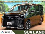 純正10型ナビ 全周囲カメラ レーダークルーズ 電動リアゲート ETC