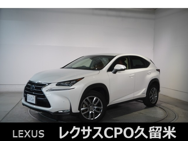 NX 300h Iパッケージ 