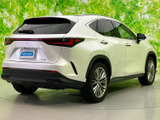 NX 250 バージョンL 