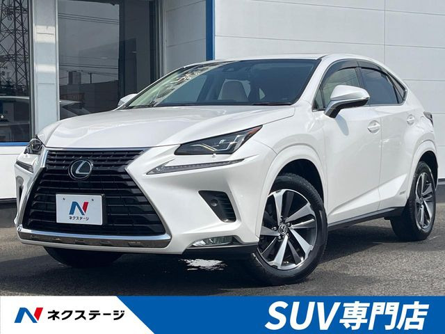 NX 300h バージョンL 