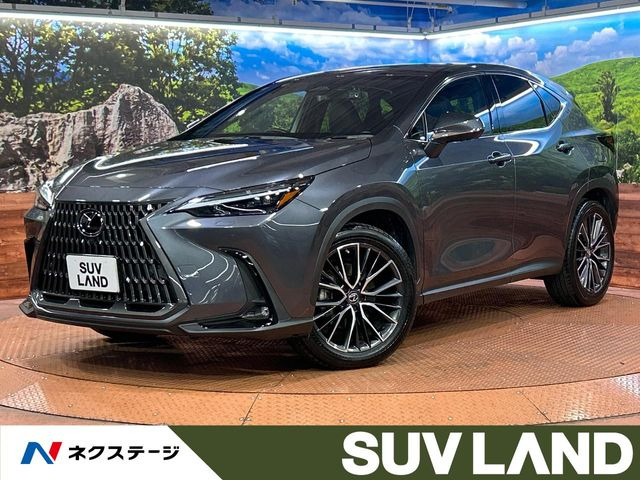 NX350h Fスポーツ