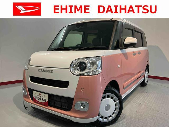 ムーヴキャンバス  ストライプス G