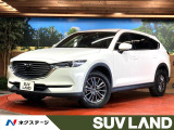 360度ビューモニター 禁煙車 レーダークルーズ パワーバックドア