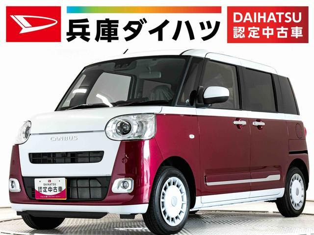 ムーヴキャンバスストライプス G