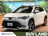 純正10型ナビ 全周囲カメラ ブラインドスアポットモニター ETC
