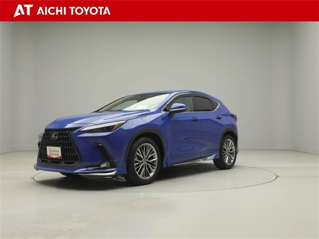 NX 250 バージョンL NX 250 バージョンL
