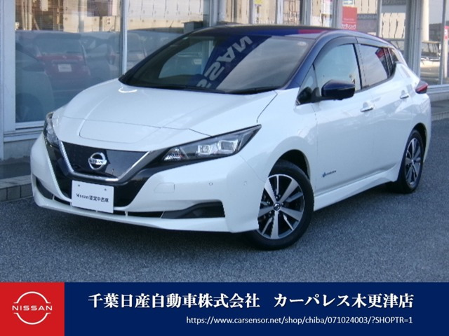 リーフ X 