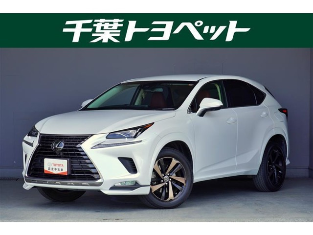 NX 300 バージョンL 