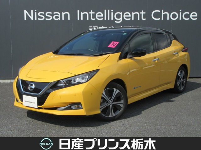 リーフ G 