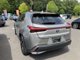 UX 250h 