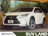 メーカーナビ サイド・バックカメラ クルーズコントロール
