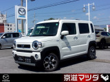 SUVライクなデザインと、街乗りもしてもらえる運転しやすいデザインで、普段から遊びまで幅広く使い勝手の良い軽自動車です。