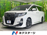 サンルーフ エアロ BIG-X11型ナビ 両側電動ドア 後席モニター