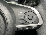 全車速追従機能付ACC(アダプティブクルーズコントロール)付