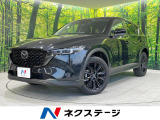 純正10,25型SDナビ 全周囲カメラ 衝突被害軽減システム