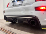 アクラポビッチマフラーは限定車特別仕様!