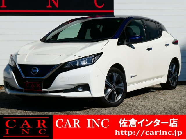 リーフGプロパイロット 全方位カメラ Bカメラ