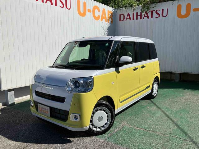 ムーヴキャンバス  ストライプス G