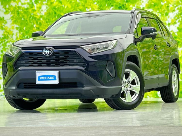 RAV42.0 X