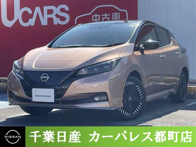 リーフe+ G