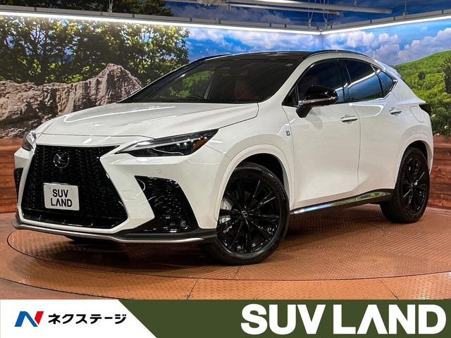 NX 350h Fスポーツ 
