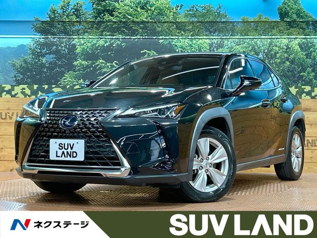 UX 250h バージョンC 