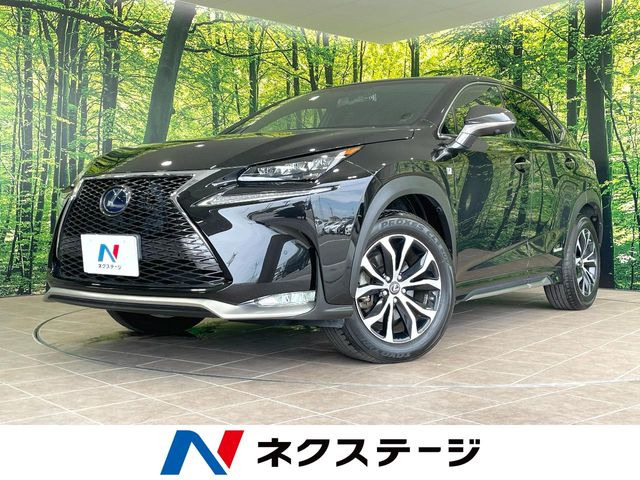 NX 300h Fスポーツ 