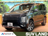 全周囲カメラ フリップダウン 両側電動スライド レーダークルーズ ETC