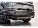 ■Rear spoiler in carbon fiber - Shiny