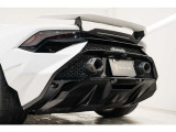 Rear Logo Silver