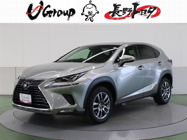 NX300 バージョンL 4WD