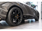 ■Wheel arches in carbon fiber - Shiny