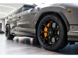 ■Rims Pelope 23 Shiny Black with Titanium wheel bolts