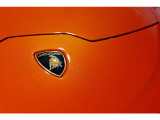 Exterior Color-  Arancio Xanto