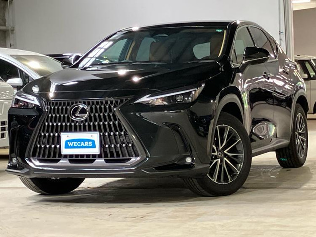 NX350h