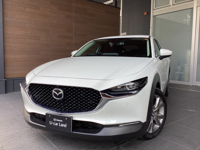 CX-301.8 XD プロアクティブ