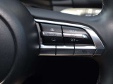ミリ波レーダーで先行車との速度差や車間距離を認識。設定した車速内での車間距離を自動で調整・維持して、アクセル・ブレーキの操作なしで長距離ドライブの負担も軽減してくれます。