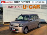 人気のミラトコット入りました。