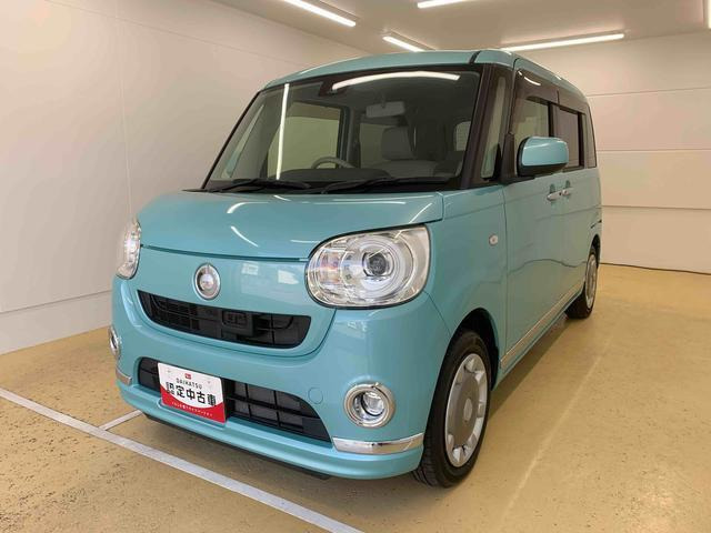 ムーヴキャンバス G メイクアップ SAII 