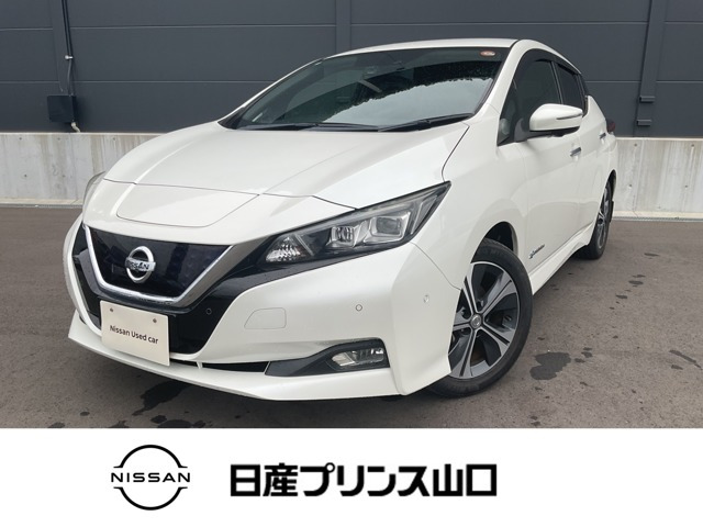 リーフ G 