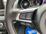 オーディオの音量などはハンドルのスイッチでわき見することなく安全に操作することができます。