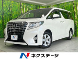 BIG-X11型ナビ 両側電動ドア 後席モニター バックカメラ ETC
