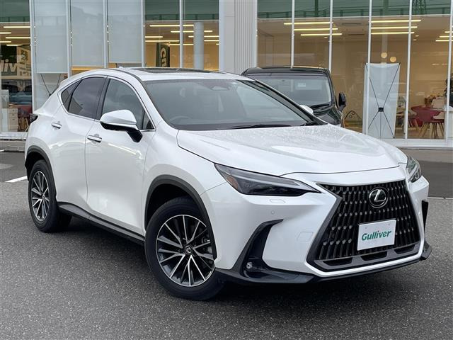 NX 250 バージョンL 本革シート サンルーフ