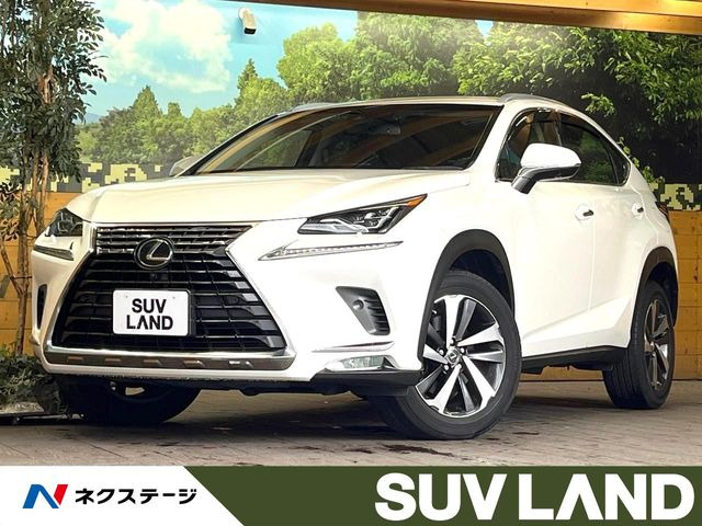 NX 200t Iパッケージ 