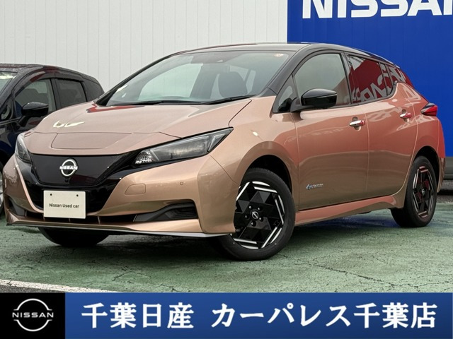 リーフe+ X